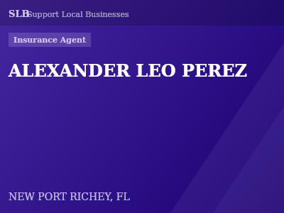 ALEXANDER LEO PEREZ — Insurance Agent in NEW PORT RICHEY, FL