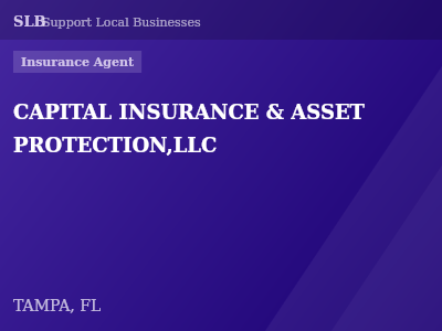 CAPITAL INSURANCE & ASSET PROTECTION,LLC — Insurance Agent in TAMPA, FL