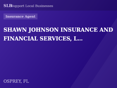 SHAWN JOHNSON INSURANCE AND FINANCIAL SERVICES, LLC — Insurance Agent in OSPREY, FL