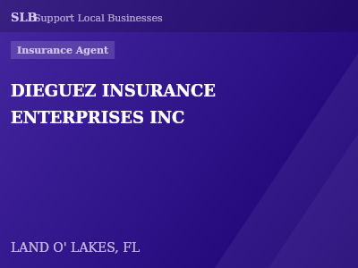 DIEGUEZ INSURANCE ENTERPRISES INC — Insurance Agent in LAND O' LAKES, FL