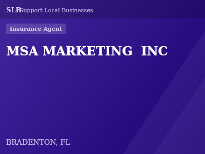 MSA MARKETING  INC — Insurance Agent in BRADENTON, FL