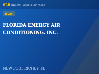 FLORIDA ENERGY AIR CONDITIONING. INC. — HVAC in NEW PORT RICHEY, FL