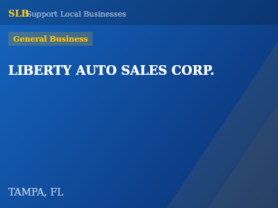 LIBERTY AUTO SALES CORP. — General Business in TAMPA, FL