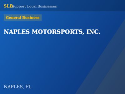 NAPLES MOTORSPORTS, INC. — General Business in NAPLES, FL