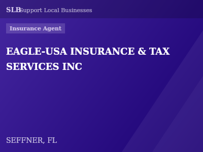 EAGLE-USA INSURANCE & TAX SERVICES INC — Insurance Agent in SEFFNER, FL