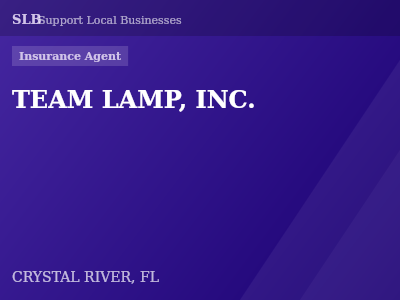 TEAM LAMP, INC. — Insurance Agent in CRYSTAL RIVER, FL