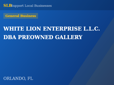 WHITE LION ENTERPRISE L.L.C. DBA PREOWNED GALLERY — General Business in ORLANDO, FL