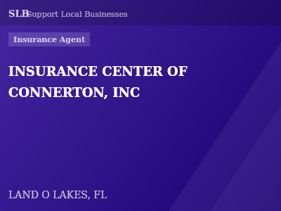 INSURANCE CENTER OF CONNERTON, INC — Insurance Agent in LAND O LAKES, FL
