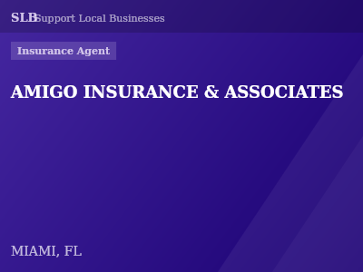 AMIGO INSURANCE & ASSOCIATES — Insurance Agent in MIAMI, FL