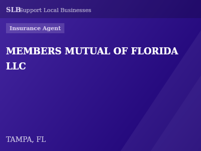 MEMBERS MUTUAL OF FLORIDA LLC — Insurance Agent in TAMPA, FL