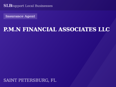 P.M.N FINANCIAL ASSOCIATES LLC — Insurance Agent in SAINT PETERSBURG, FL