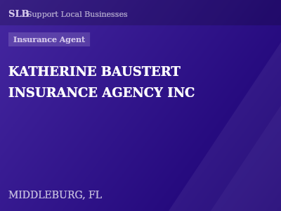 KATHERINE BAUSTERT INSURANCE AGENCY INC — Insurance Agent in MIDDLEBURG, FL