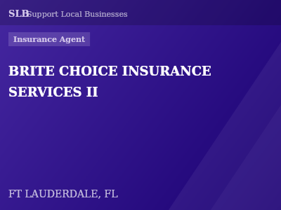 BRITE CHOICE INSURANCE SERVICES II — Insurance Agent in FT LAUDERDALE, FL