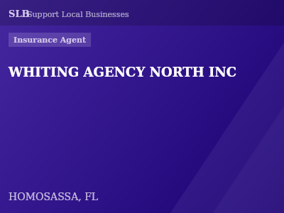 WHITING AGENCY NORTH INC — Insurance Agent in HOMOSASSA, FL