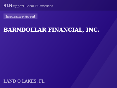 BARNDOLLAR FINANCIAL, INC. — Insurance Agent in LAND O LAKES, FL