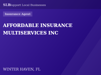 AFFORDABLE INSURANCE MULTISERVICES INC — Insurance Agent in WINTER HAVEN, FL