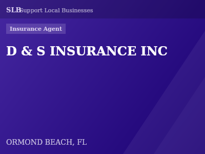 D & S INSURANCE INC — Insurance Agent in ORMOND BEACH, FL
