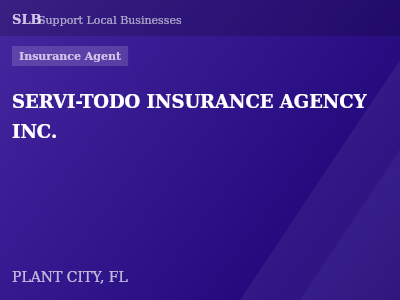 SERVI-TODO INSURANCE AGENCY INC. — Insurance Agent in PLANT CITY, FL