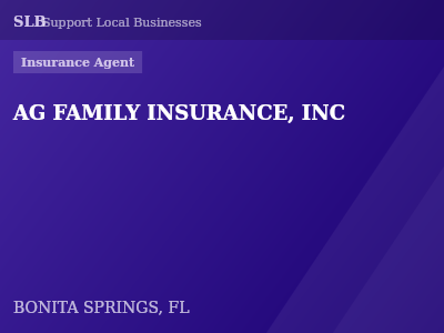 AG FAMILY INSURANCE, INC — Insurance Agent in BONITA SPRINGS, FL