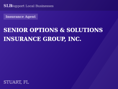 SENIOR OPTIONS & SOLUTIONS INSURANCE GROUP, INC. — Insurance Agent in STUART, FL