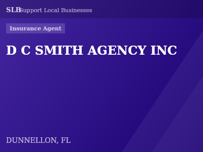 D C SMITH AGENCY INC — Insurance Agent in DUNNELLON, FL
