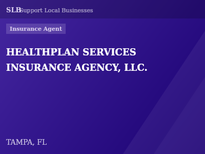 HEALTHPLAN SERVICES INSURANCE AGENCY, LLC. — Insurance Agent in TAMPA, FL