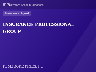 INSURANCE PROFESSIONAL GROUP — Insurance Agent in PEMBROKE PINES, FL