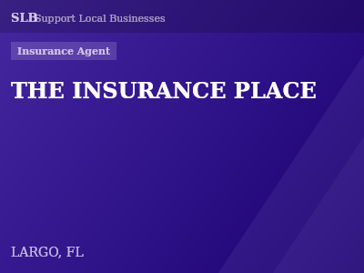 THE INSURANCE PLACE — Insurance Agent in LARGO, FL