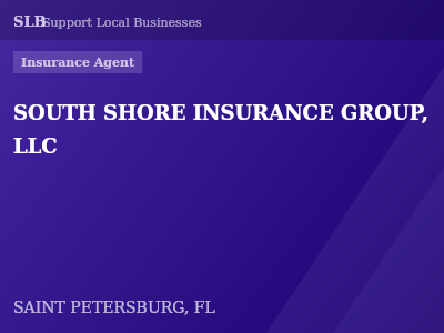 SOUTH SHORE INSURANCE GROUP, LLC — Insurance Agent in SAINT PETERSBURG, FL