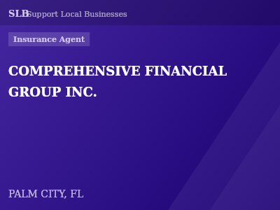 COMPREHENSIVE FINANCIAL GROUP INC. — Insurance Agent in PALM CITY, FL