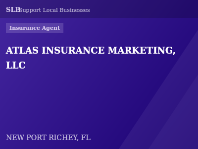 ATLAS INSURANCE MARKETING, LLC — Insurance Agent in NEW PORT RICHEY, FL