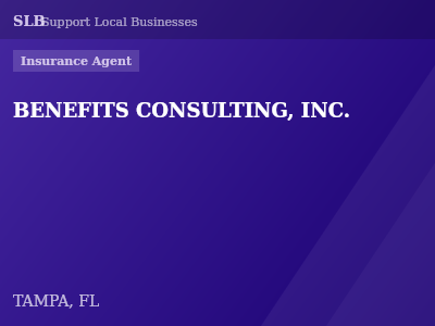 BENEFITS CONSULTING, INC. — Insurance Agent in TAMPA, FL