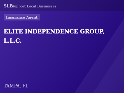 ELITE INDEPENDENCE GROUP, L.L.C. — Insurance Agent in TAMPA, FL