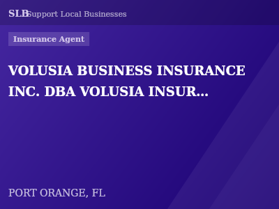 VOLUSIA BUSINESS INSURANCE INC. DBA VOLUSIA INSURANCE — Insurance Agent in PORT ORANGE, FL