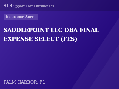 SADDLEPOINT LLC DBA FINAL EXPENSE SELECT (FES) — Insurance Agent in PALM HARBOR, FL