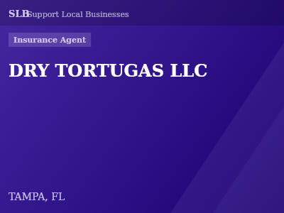 DRY TORTUGAS LLC — Insurance Agent in TAMPA, FL