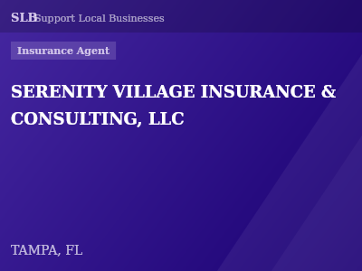 SERENITY VILLAGE INSURANCE & CONSULTING, LLC — Insurance Agent in TAMPA, FL