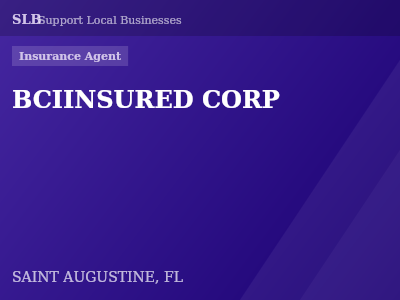 BCIINSURED CORP — Insurance Agent in SAINT AUGUSTINE, FL
