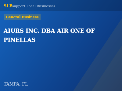 AIURS INC. DBA AIR ONE OF PINELLAS — General Business in TAMPA, FL
