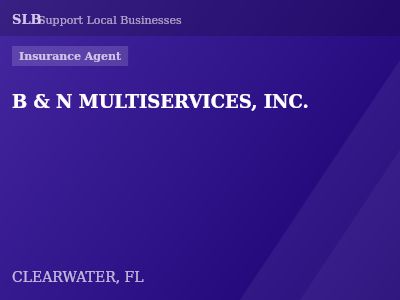 B & N MULTISERVICES, INC. — Insurance Agent in CLEARWATER, FL