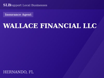 WALLACE FINANCIAL LLC — Insurance Agent in HERNANDO, FL