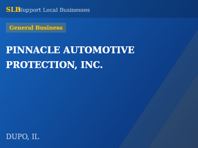 PINNACLE AUTOMOTIVE PROTECTION, INC. — General Business in DUPO, IL