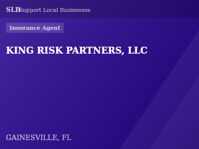 KING RISK PARTNERS, LLC — Insurance Agent in GAINESVILLE, FL