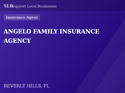 ANGELO FAMILY INSURANCE AGENCY — Insurance Agent in BEVERLY HILLS, FL