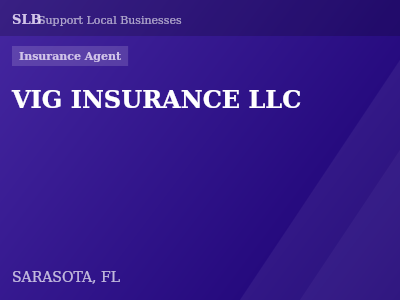VIG INSURANCE LLC — Insurance Agent in SARASOTA, FL