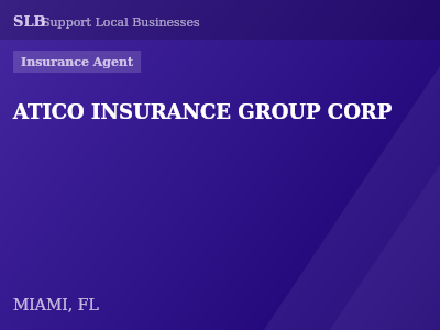 ATICO INSURANCE GROUP CORP — Insurance Agent in MIAMI, FL