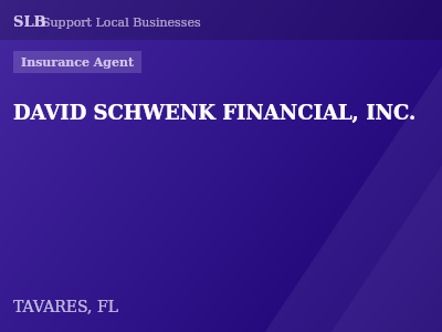 DAVID SCHWENK FINANCIAL, INC. — Insurance Agent in TAVARES, FL