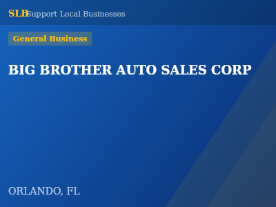 BIG BROTHER AUTO SALES CORP — General Business in ORLANDO, FL