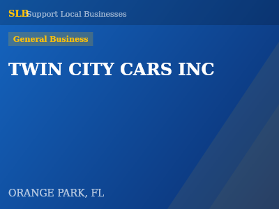 TWIN CITY CARS INC — General Business in ORANGE PARK, FL