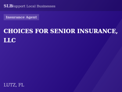 CHOICES FOR SENIOR INSURANCE, LLC — Insurance Agent in LUTZ, FL